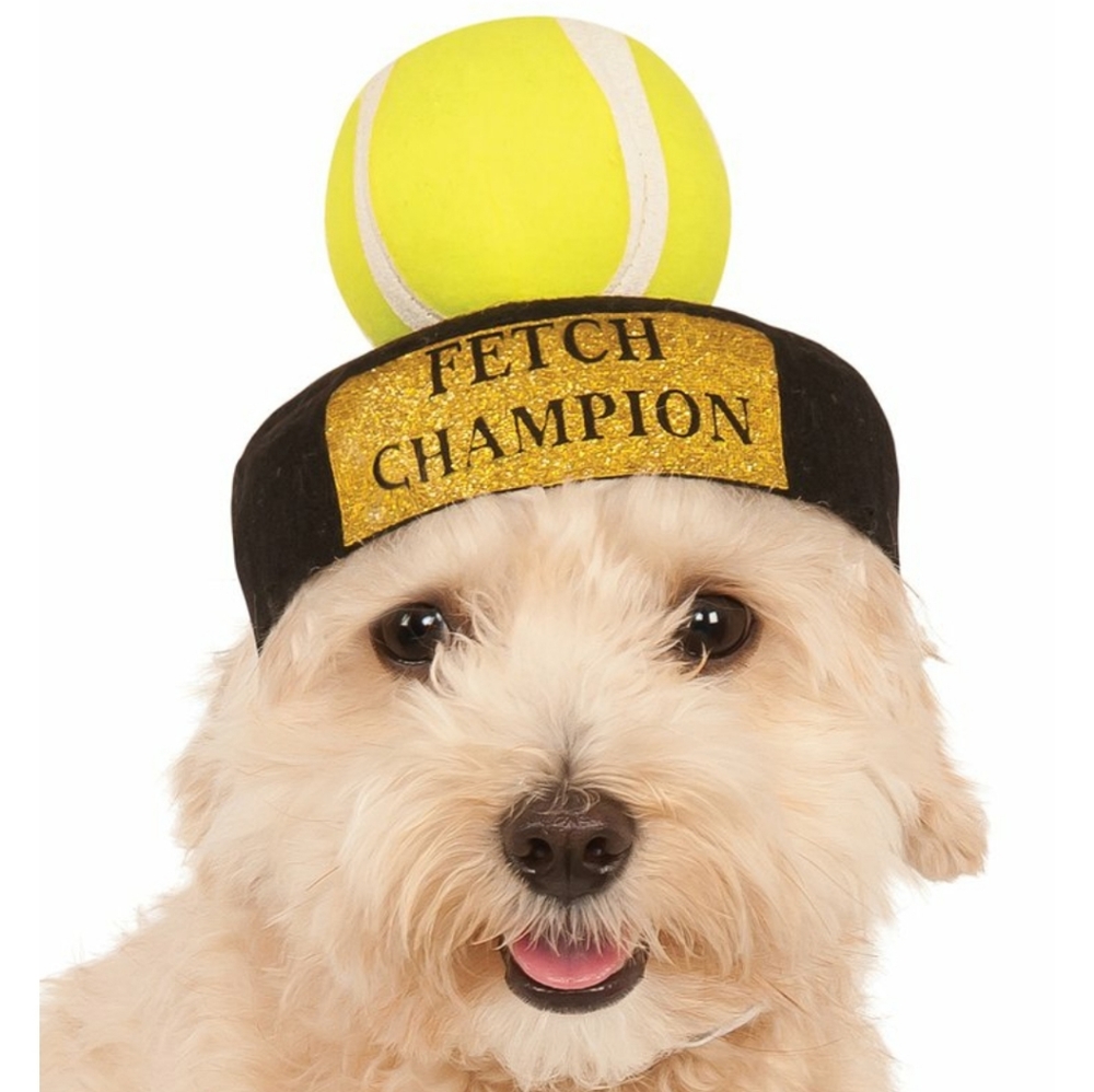 FREE w/ any bundle Dog 'fetch champion' hat